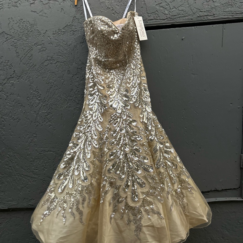 Elegant Gold and Silver Sequin Dress